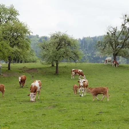 Kirchbichl *